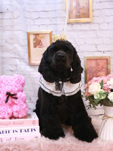 20251120天ちゃん