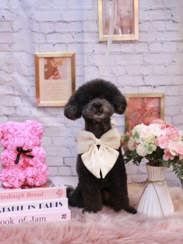 20251121コタロウくん