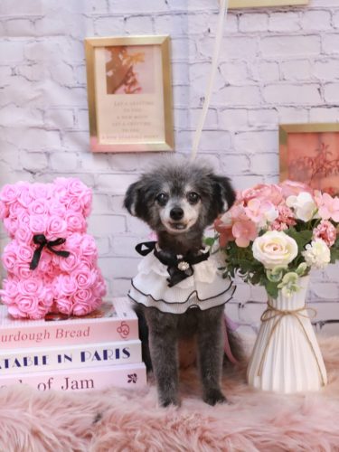 20251121ヒナちゃん