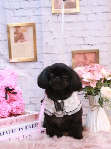 20251121つむぎちゃん