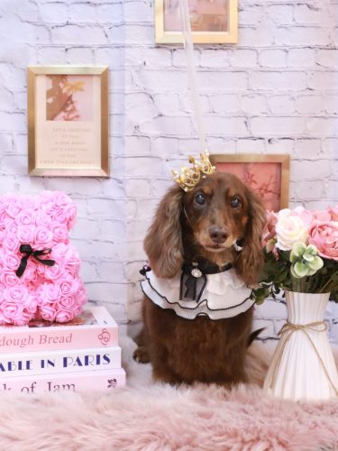 20251122ジョナくん