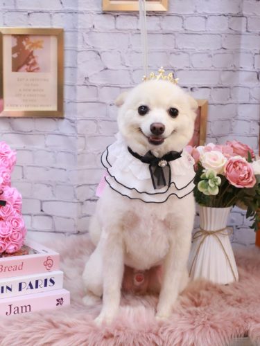 20251122しゅんくん