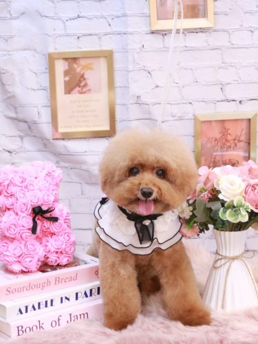 20251123ソラくん