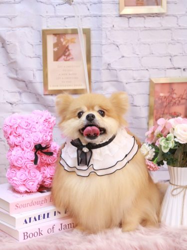 20251123梛都ちゃん