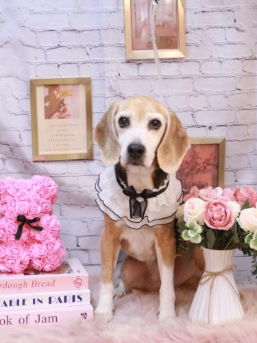 20251123ミツコちゃん