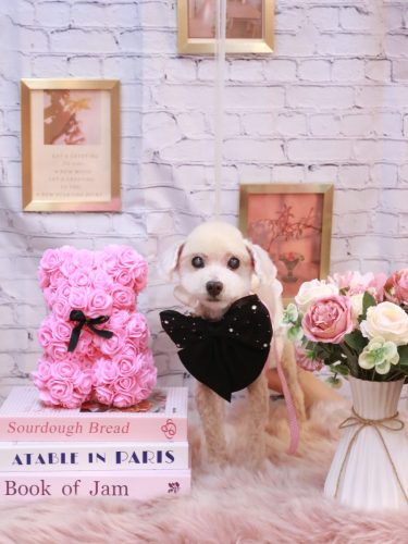 20251123れおんくん