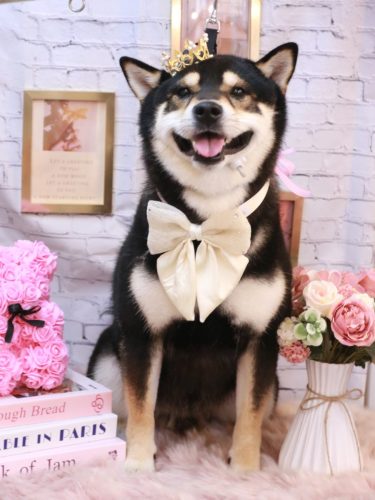 20251123ココくん