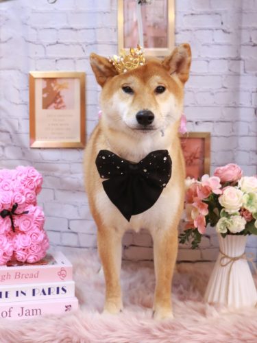 20251124りゅうくん