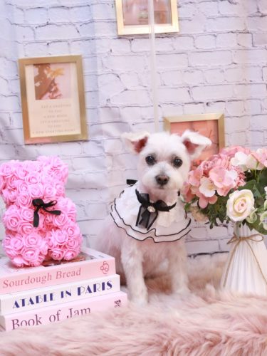 20251124ヒメちゃん