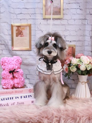 20251125ルナちゃん