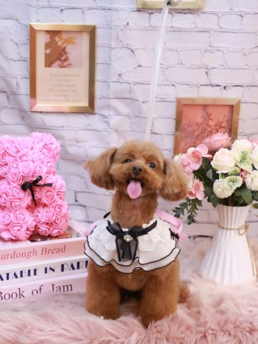 20251125永遠ちゃん