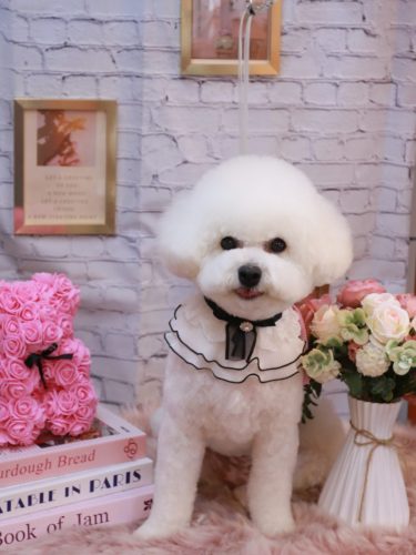 20251125姫葵ちゃん