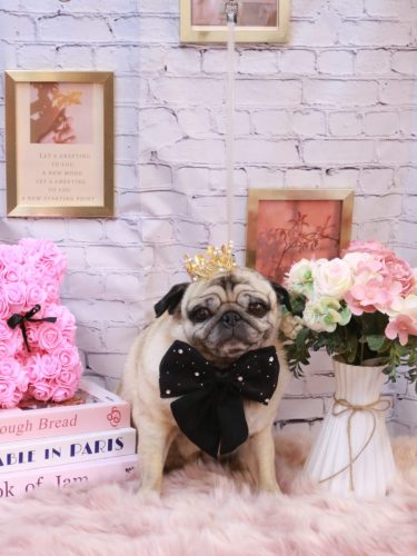 20251125くりこちゃん