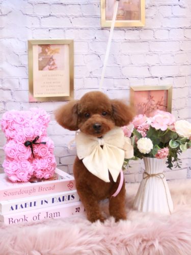 20251126そらくん