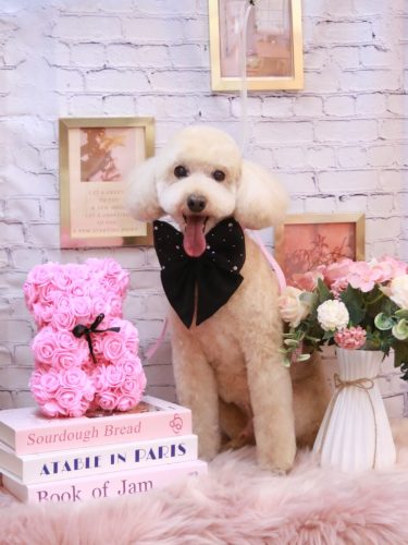 20251126ジョナくん