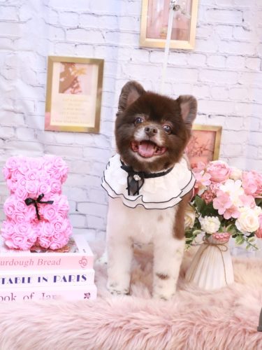 20251126太郎くん