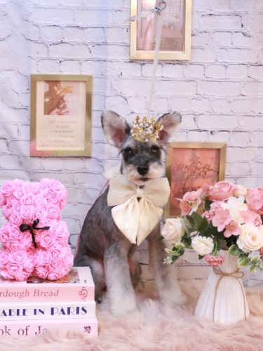 20251126むぎちゃん