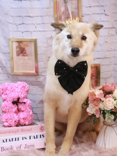 20251128れんくん