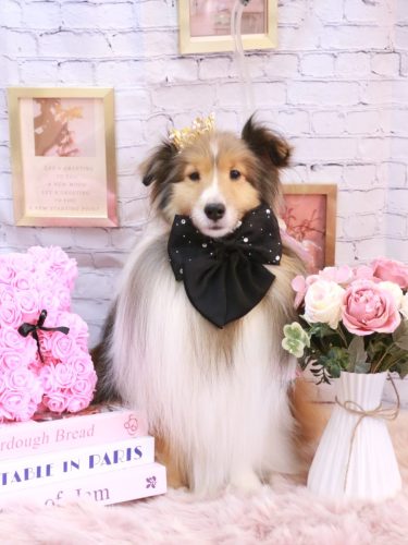 20251128ノアくん