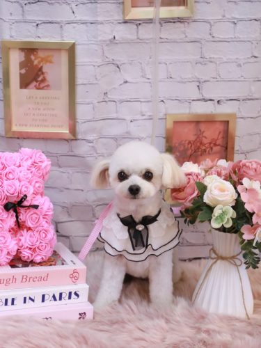 20251128小雪ちゃん