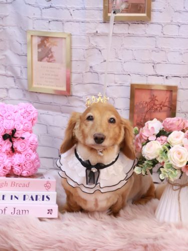 20251128レオンくん