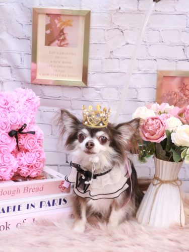 20251128空太くん