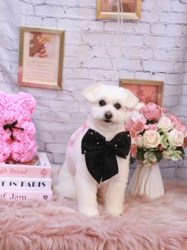 20251129うみちゃん