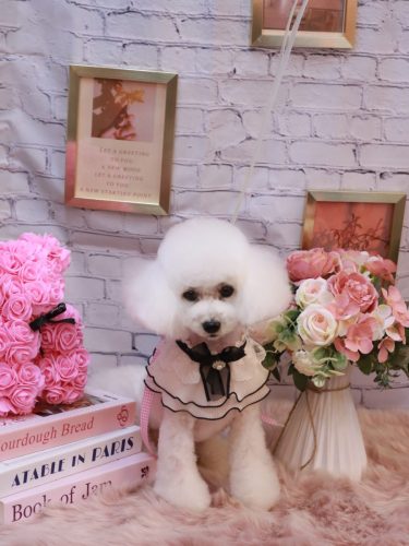 20251130ゆわちゃん