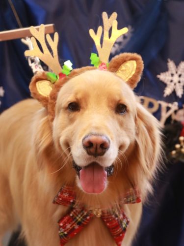 20251202レオくん