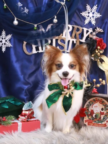 20251202ムーくん