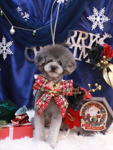 20251203るいくん