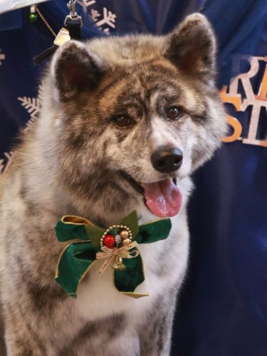 20251203むぎくん