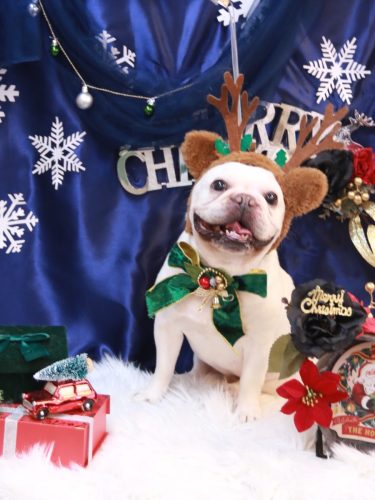 20251203まろんくん