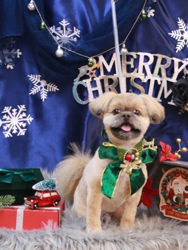 20251204ふうたくん