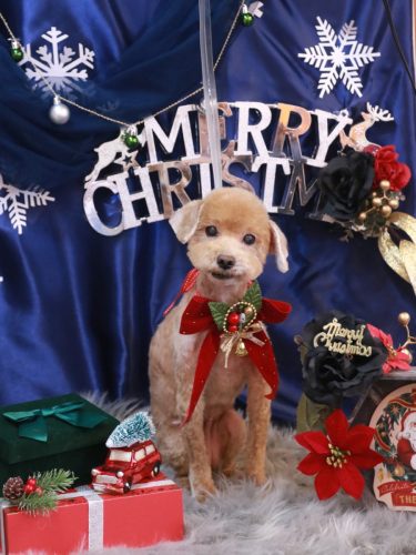 20251204そらちゃん