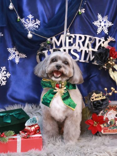 20251204蘭太郎くん