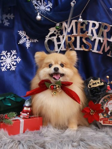 20251205梛都ちゃん