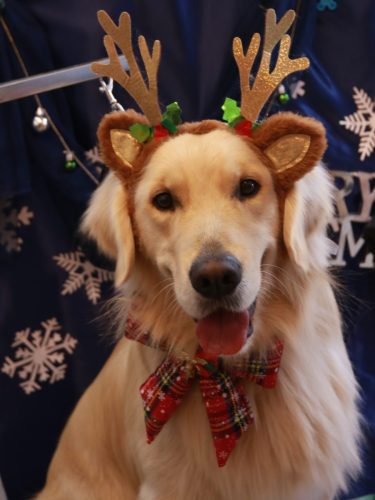 20251205レオくん