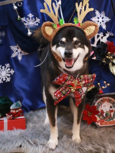 20251206ジローくん