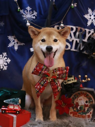 20251206れんたろうくん