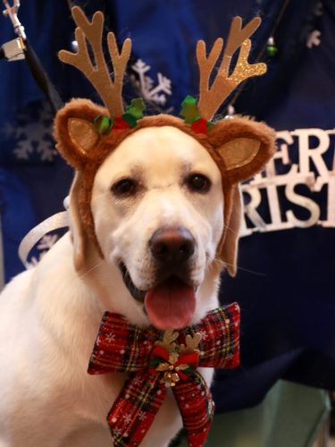 20251207糸ちゃん