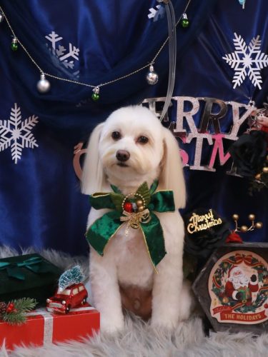 20251207風太郎くん