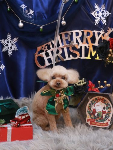 20251207そらくん