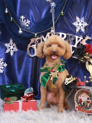 20251209中村-ジョニーくん