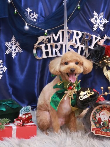 20251209サンくん