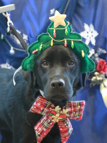 20251209文太くん