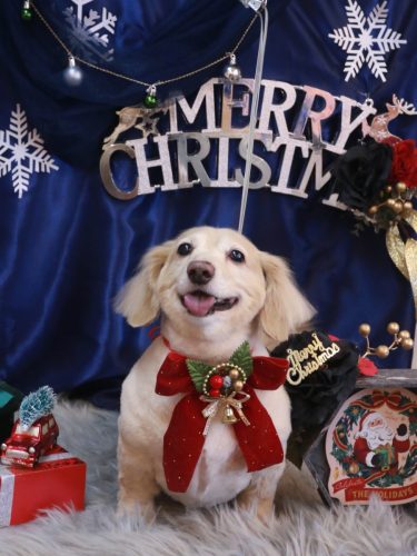 20251210テヤンくん