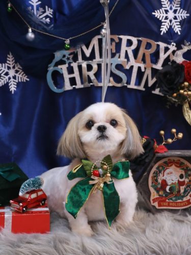 20251211カンタくん