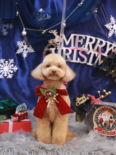 20251213ララちゃん