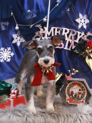 20251213音ちゃん